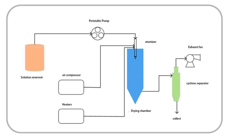 The wet granulator uses a peristaltic pump to transport the liquid material to be dried.